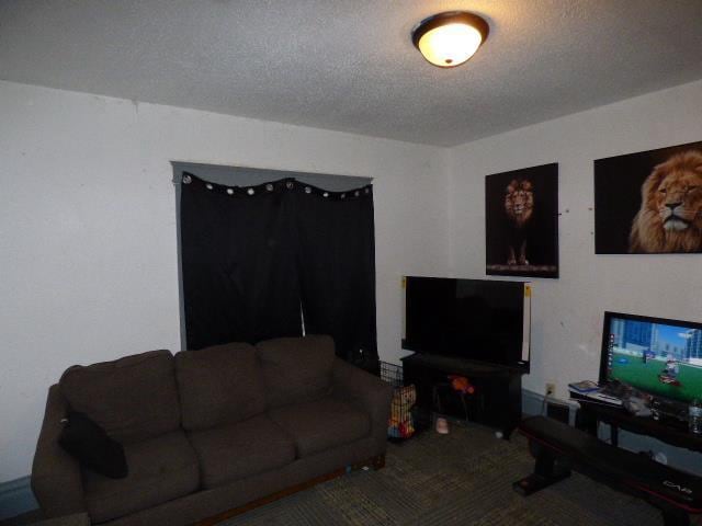 carpeted living room featuring a textured ceiling