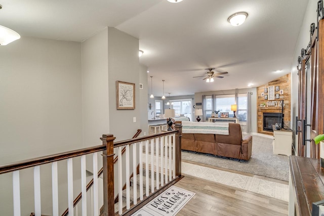 living room with a barn door, a large fireplace, ceiling fan, and light wood-type flooring