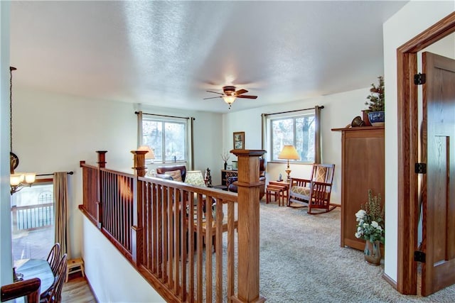 interior space featuring light colored carpet and a healthy amount of sunlight