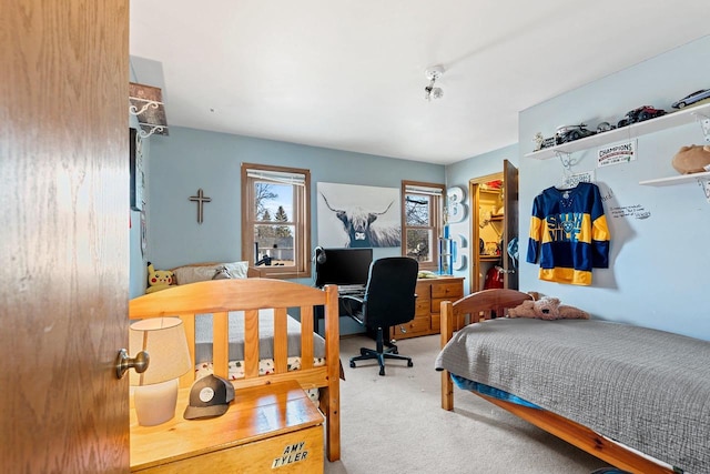 bedroom featuring a spacious closet and carpet