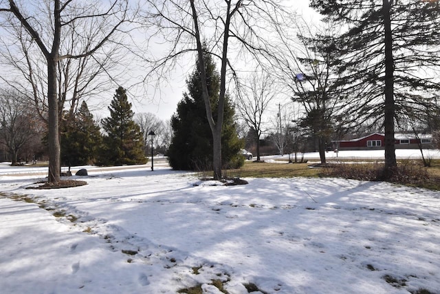 view of yard layered in snow