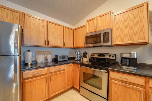 kitchen with stainless steel appliances, lofted ceiling, and a textured ceiling