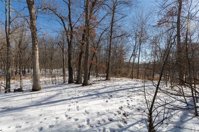 Listing photo 2 for LOT12 133rd St, Amery WI 54001