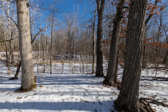 Listing photo 3 for LOT12 133rd St, Amery WI 54001