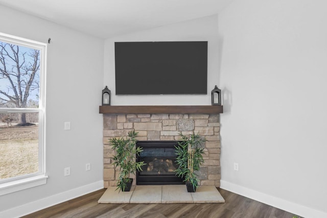 room details with wood-type flooring and a fireplace