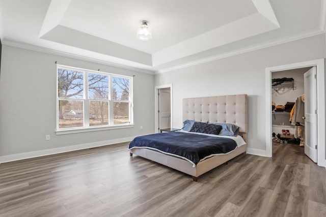 bedroom with crown molding, wood-type flooring, a spacious closet, and a raised ceiling