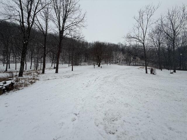 view of yard covered in snow