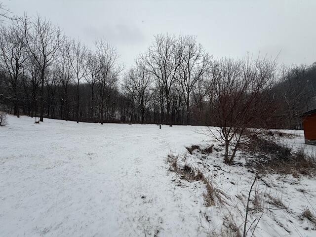 view of snowy yard