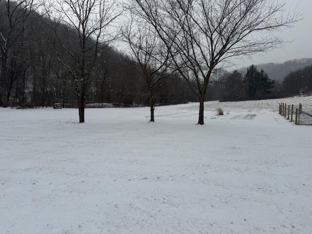 view of yard layered in snow