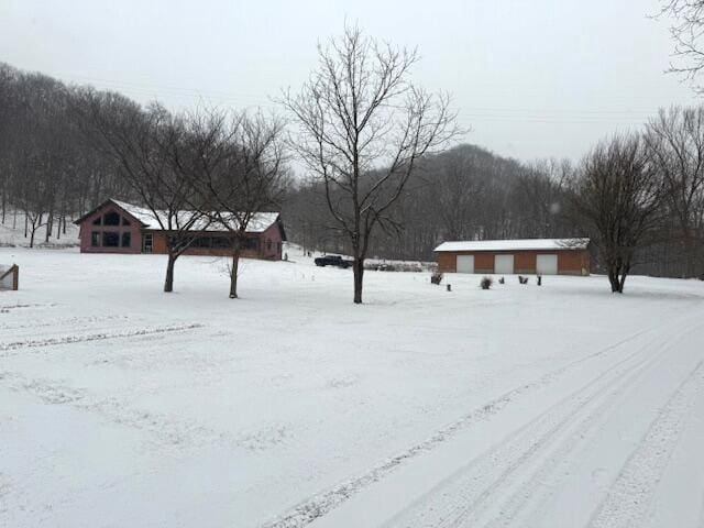 view of snowy yard