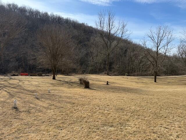 view of yard with a rural view