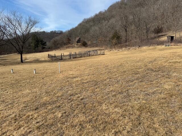 view of yard with a rural view and a mountain view