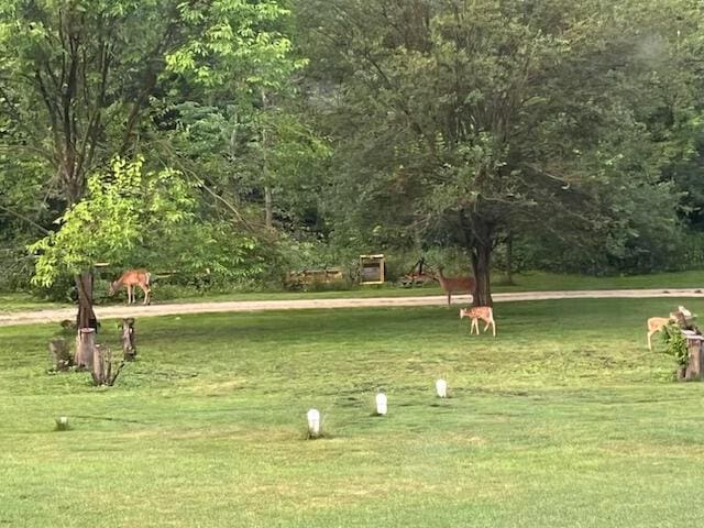 view of property's community featuring a lawn