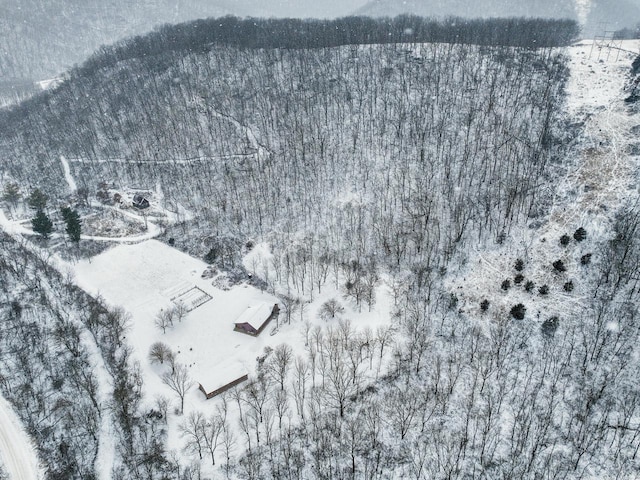 view of snowy aerial view