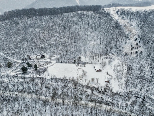 view of snowy aerial view