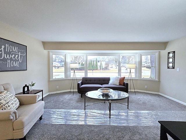 living room with carpet flooring