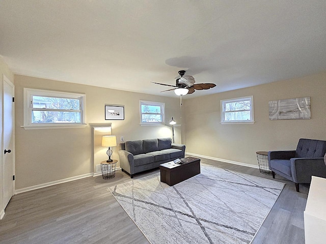 living room with ceiling fan, hardwood / wood-style floors, and a wealth of natural light