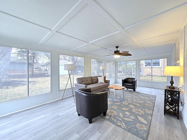 sunroom with coffered ceiling and ceiling fan