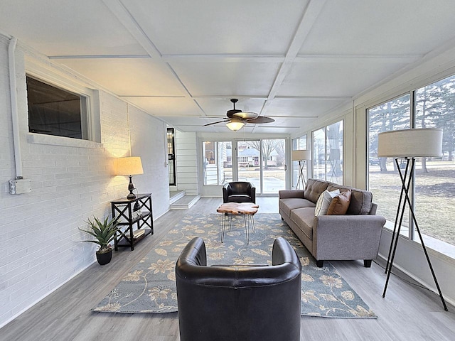 sunroom with coffered ceiling and ceiling fan