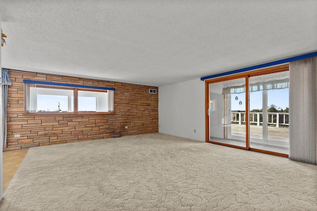 carpeted empty room with a wealth of natural light and a textured ceiling