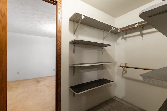 walk in closet featuring carpet flooring