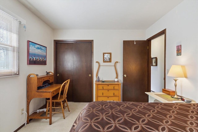 carpeted bedroom with a closet