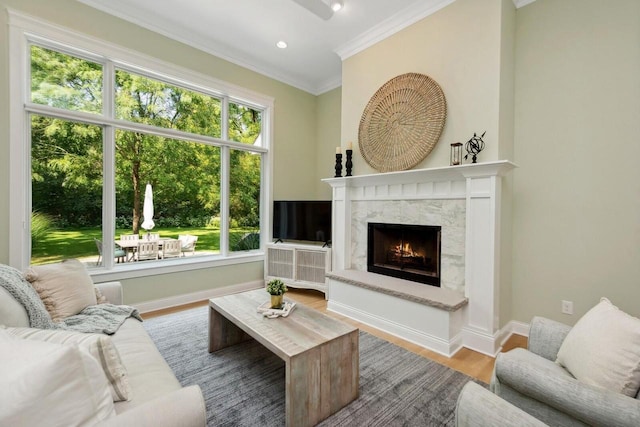 living room with ornamental molding, hardwood / wood-style floors, and a fireplace