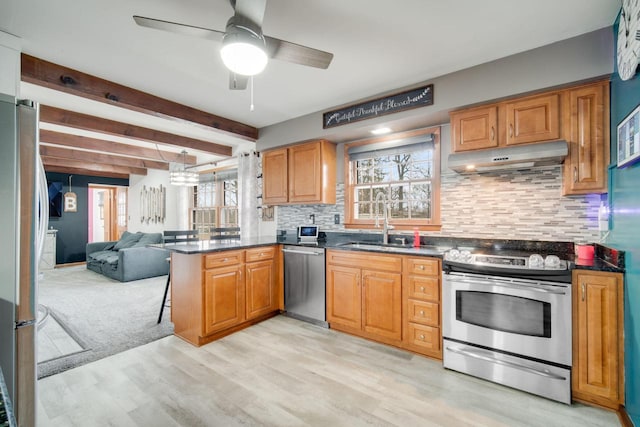 kitchen with sink, kitchen peninsula, a healthy amount of sunlight, and appliances with stainless steel finishes