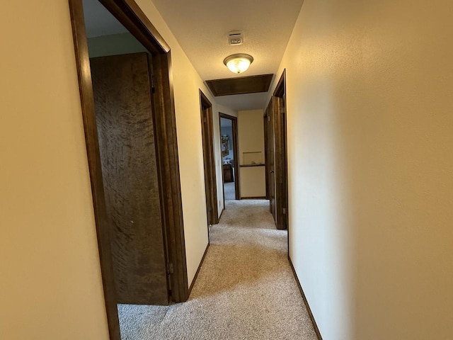 hall featuring light carpet and a textured ceiling