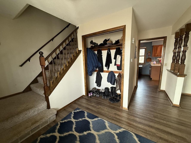 foyer featuring dark wood-type flooring