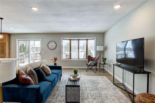 living room featuring wood-type flooring