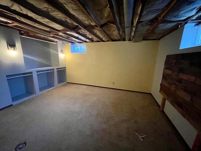 basement with carpet floors