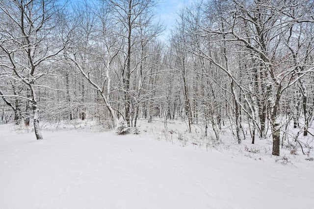 view of snowy view