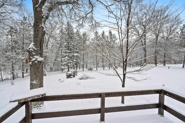 view of yard layered in snow