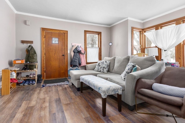 living room featuring ornamental molding and hardwood / wood-style floors