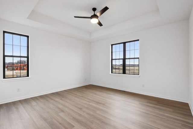 empty room featuring plenty of natural light, a tray ceiling, and light wood-type flooring