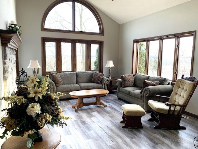 living room with high vaulted ceiling and light hardwood / wood-style flooring