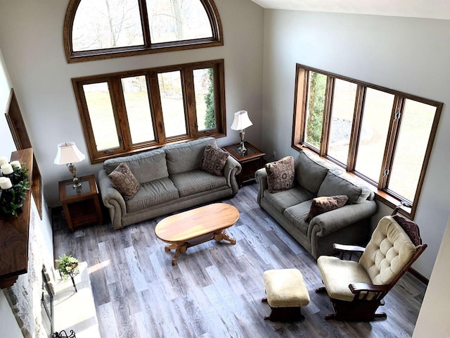 living room with light wood-type flooring
