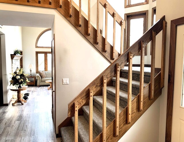 stairway featuring wood-type flooring and a high ceiling