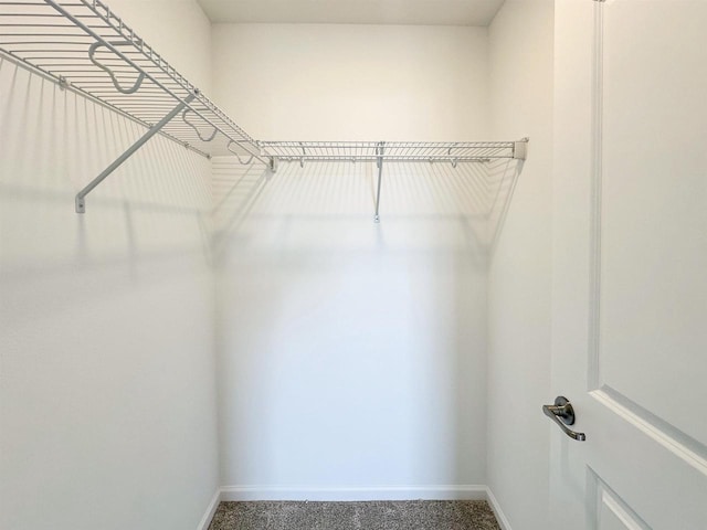 walk in closet with carpet