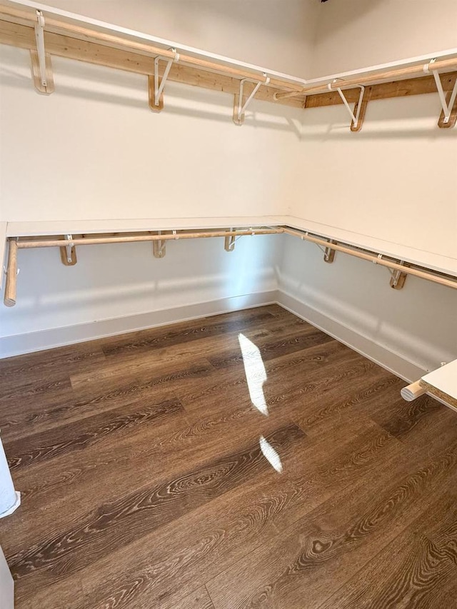 walk in closet featuring hardwood / wood-style flooring