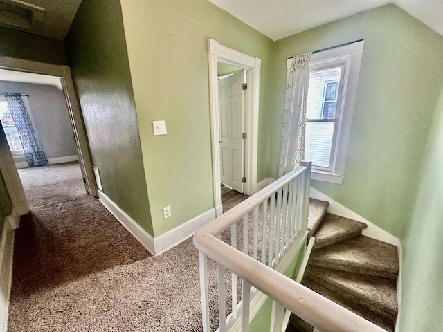 hallway with carpet floors