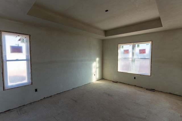 spare room with a healthy amount of sunlight and a tray ceiling