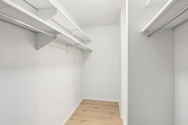 spacious closet featuring light hardwood / wood-style floors