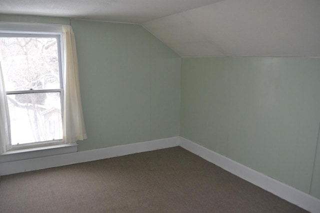 additional living space with vaulted ceiling, carpet, and a wealth of natural light