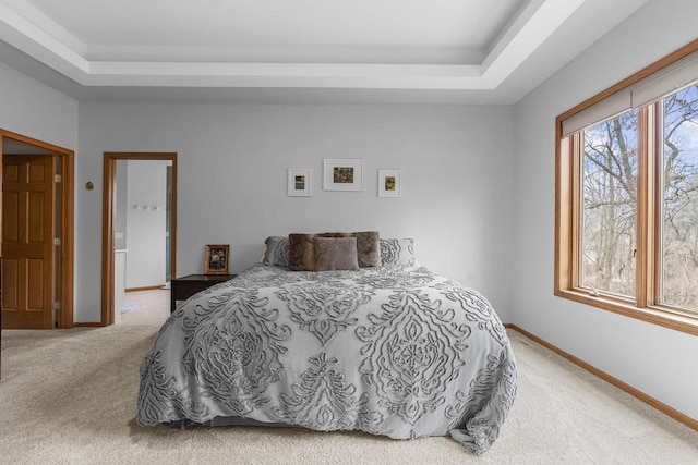 carpeted bedroom with a raised ceiling