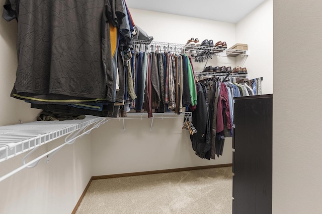 walk in closet featuring carpet