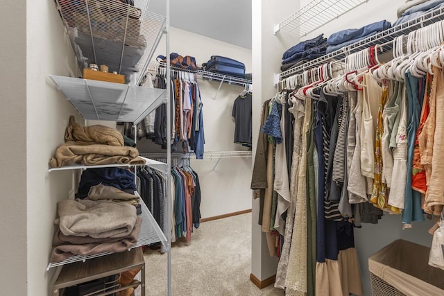 spacious closet with carpet floors