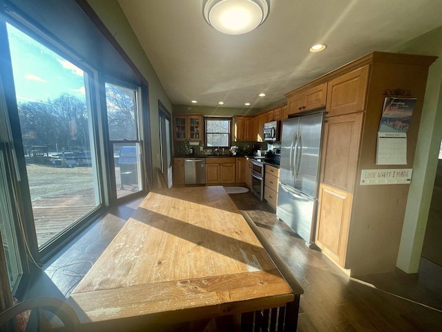 kitchen with appliances with stainless steel finishes and dark hardwood / wood-style floors