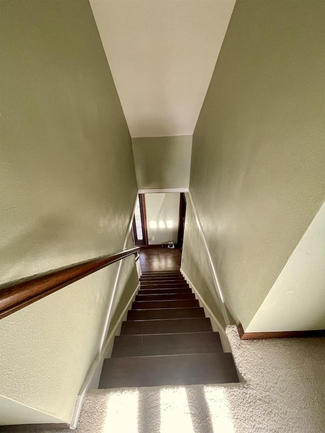 stairway featuring carpet floors